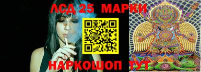 эйфоретик Малгобек