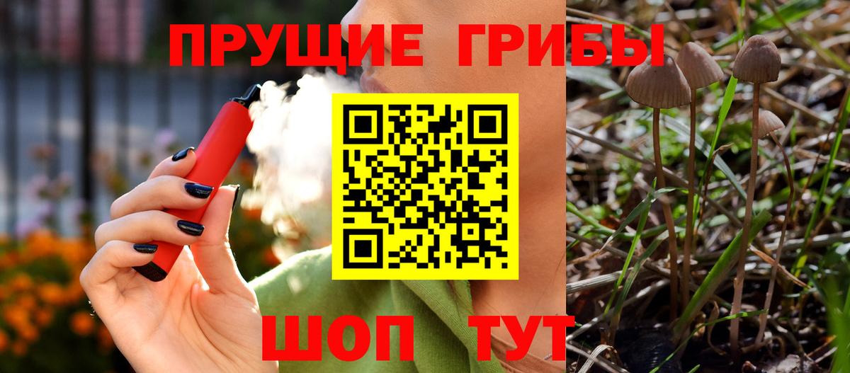 Псилоцибиновые грибы Psilocybe  Псилоцибиновые грибы Psilocybe  Чайковский  Вход с VPN 