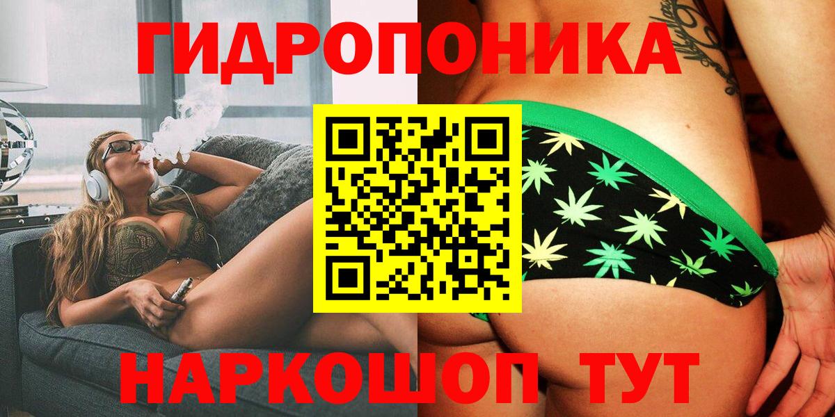 Чайковский  Марихуана сатива  Канабис OG Kush  Вход с VPN 